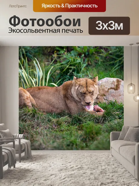 Фотообои Львица питание