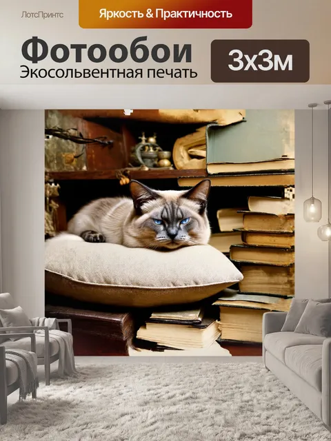 Фотообои в уютной, деревенской комнате, сиамская кошка с пушистой, серо-белой шерстью и яркими, голубыми глазами спит…