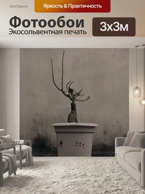 Фотообои Засохший