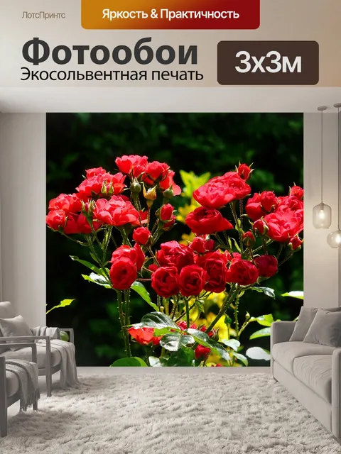 Фотообои Роза