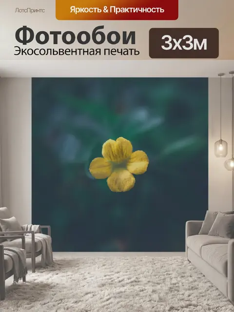 Фотообои Цветок
