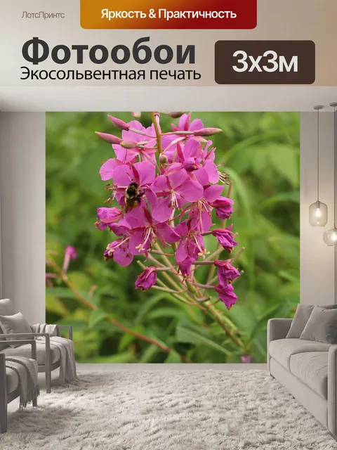 Фотообои Полевые цветы Фиолетовый Bee