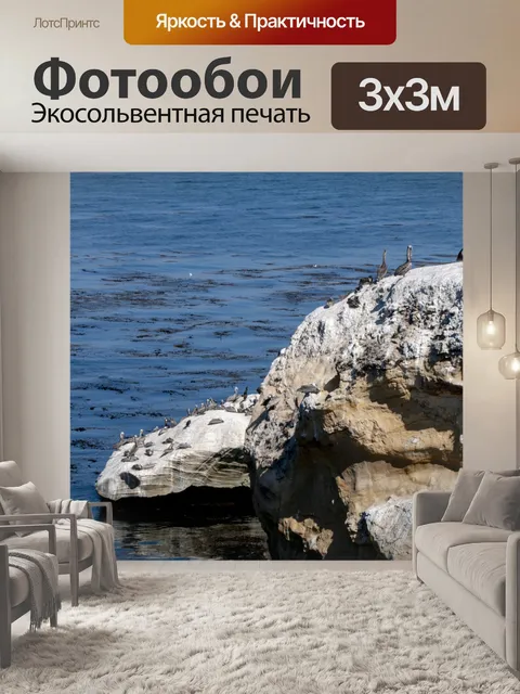 Фотообои Пеликаны на скалах