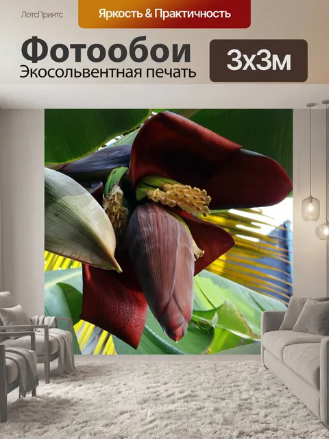 Фотообои Банановый цвет