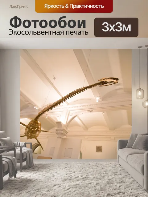 Фотообои Американский музей естественной истории