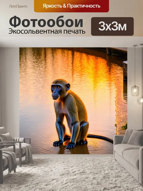 Фотообои обезьяна, сидящая у воды, с отражением в реке, на фоне заката