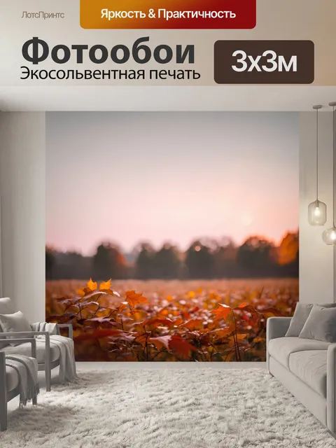 Фотообои рассвет на поле с осенними листьями, сверкающими в утреннем свете