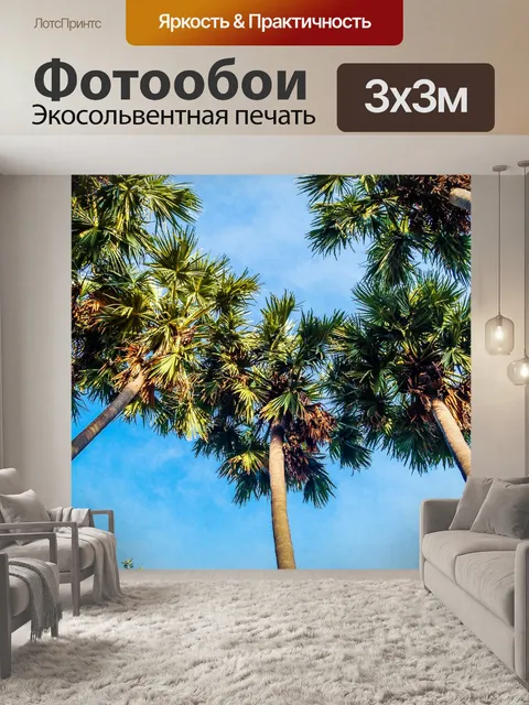 Фотообои Сахарная пальма
