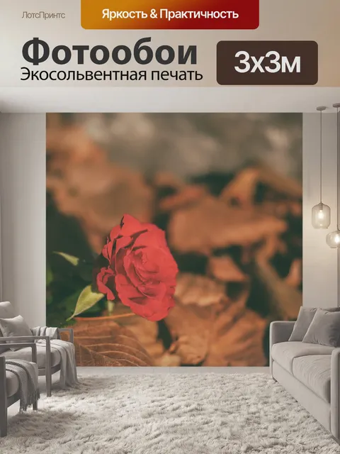 Фотообои Розы