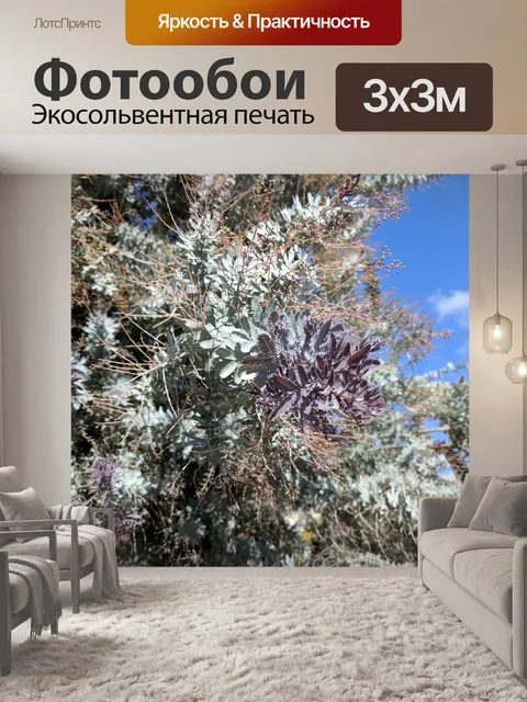 Фотообои Цвет Буша против голубого неба
