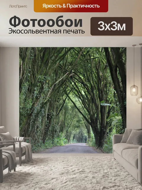 Фотообои Коста-Рика Джунгли Форест