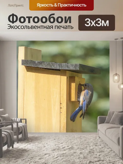 Фотообои Синяя птица