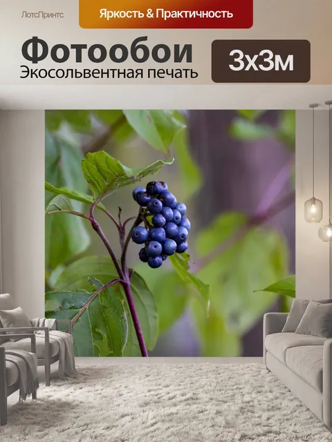 Фотообои Дикие ягоды