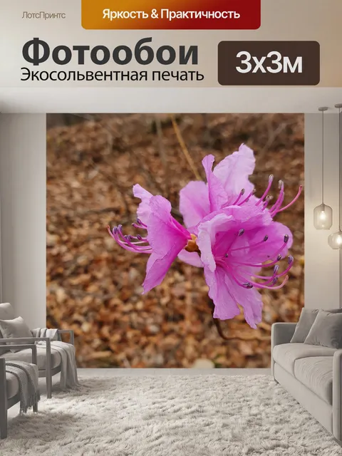 Фотообои Цветок