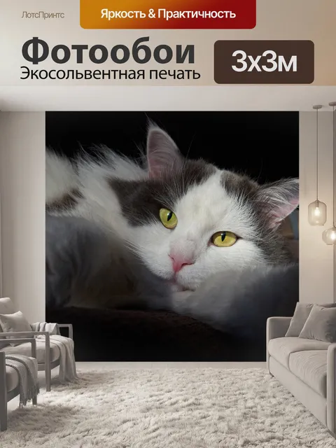 Фотообои Кошка