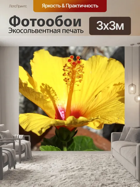 Фотообои Цветок