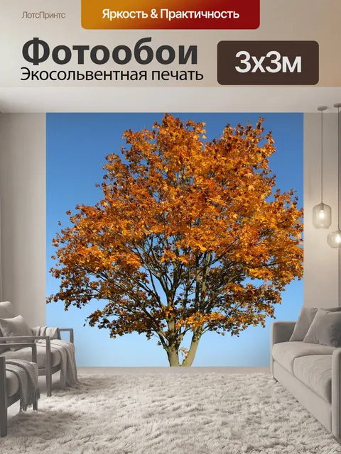Фотообои Падение