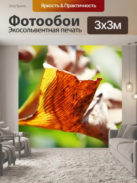 Фотообои обесцвеченный лист гинкго билоба