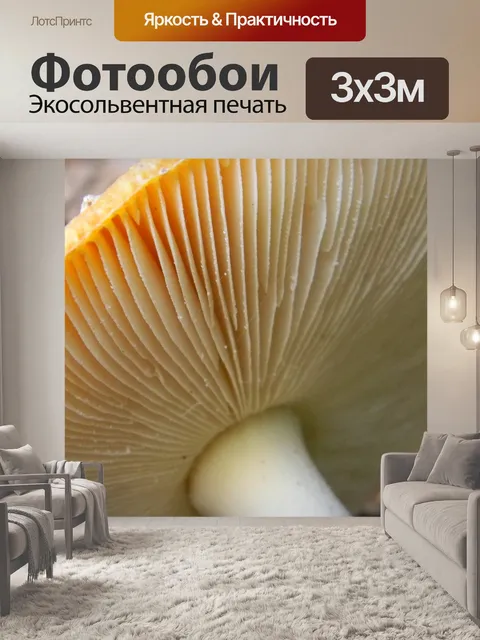 Фотообои Грибы