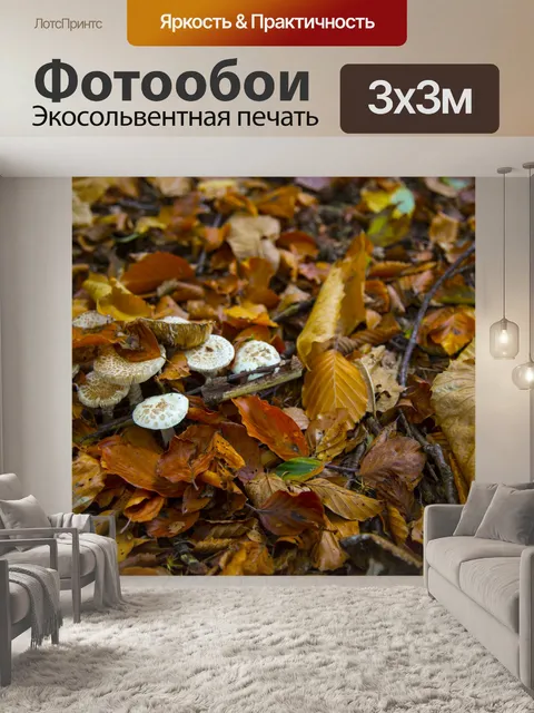 Фотообои грибы