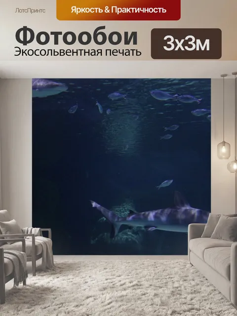 Фотообои Акула