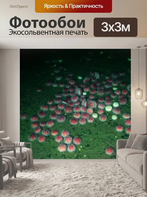 Фотообои Розовый urchin