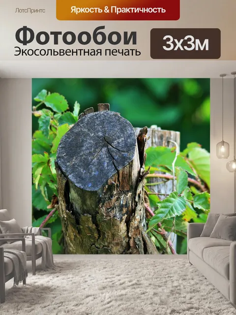 Фотообои Терновник на пенек