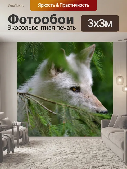 Фотообои Белая Тень