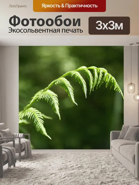 Фотообои Папоротник