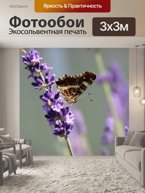 Фотообои Бабочка