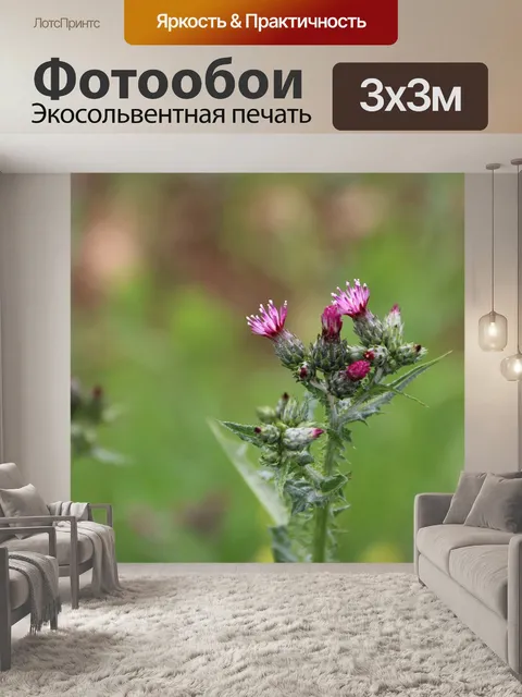 Фотообои Розовый