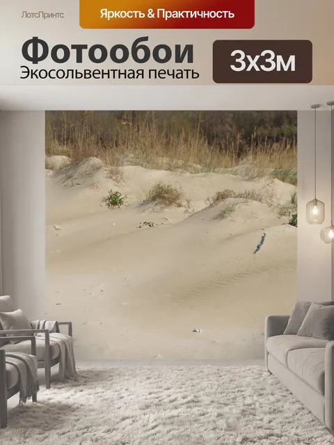 Фотообои Маленькие песчаные дюны с травой