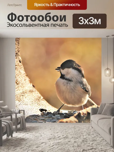 Фотообои Синица ест семена подсолнечника
