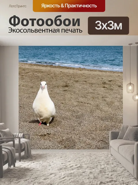 Фотообои голубь на пляже