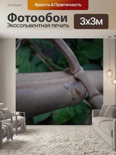Фотообои Сухой бамбук соломенная 08