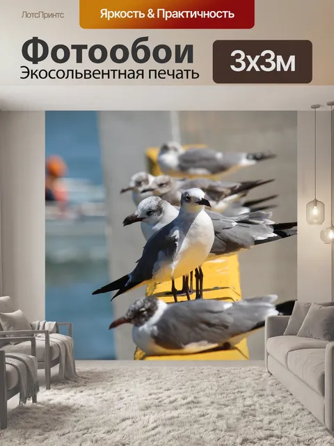 Фотообои Птицы