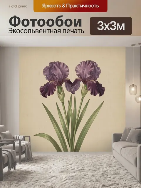 300 × 300 см · Экосольвентная печать