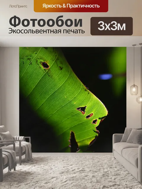 Фотообои Лист