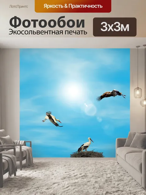 Фотообои Птицы