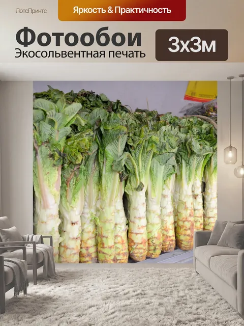 Фотообои Гибрид сельдерея и салата