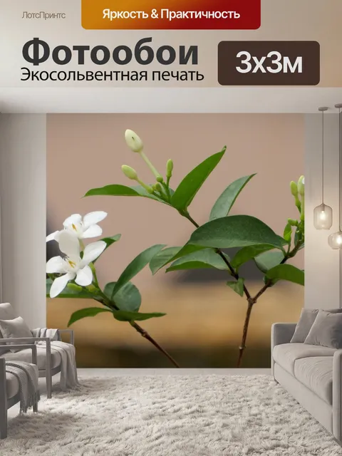Фотообои Белый