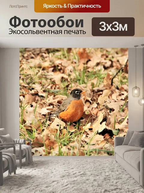 Фотообои Женский американский Робин в листьях