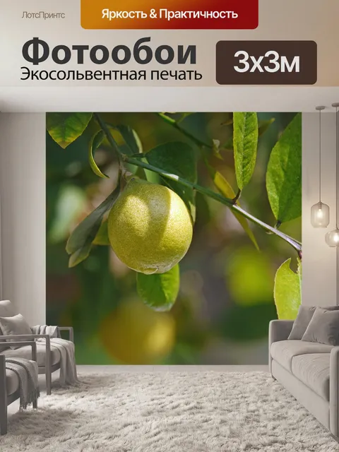 Фотообои Лимонное дерево