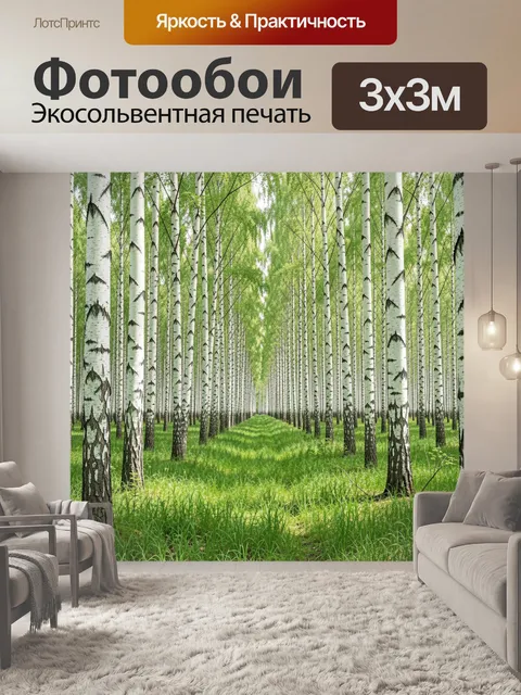 Фотообои Березовая роща с аллеей