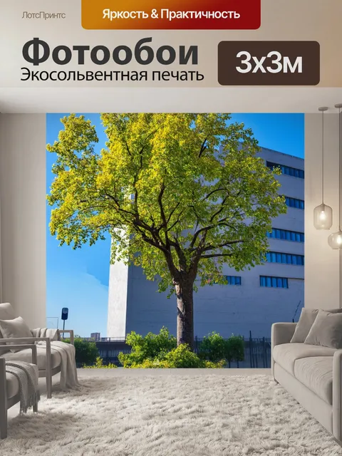 Фотообои дерево на фоне современной архитектуры, создающее контраст между природой и технологией