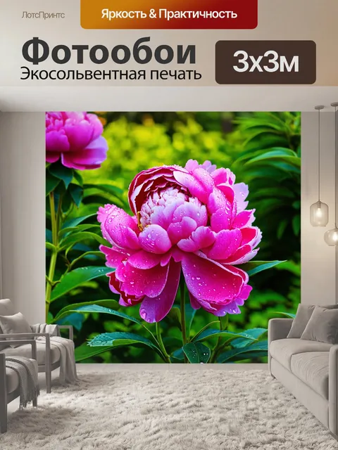 Фотообои пионы в роскошном саду с утренним солнцем, яркими зелеными листьями и каплями росы на лепестках