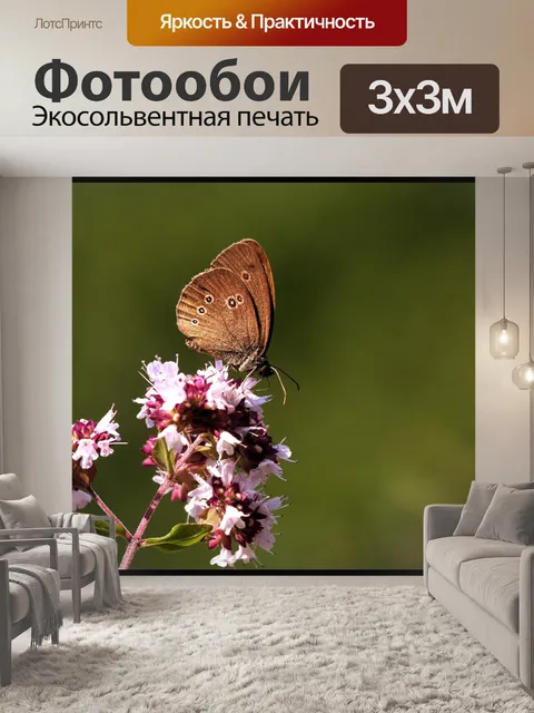 Фотообои Бабочка
