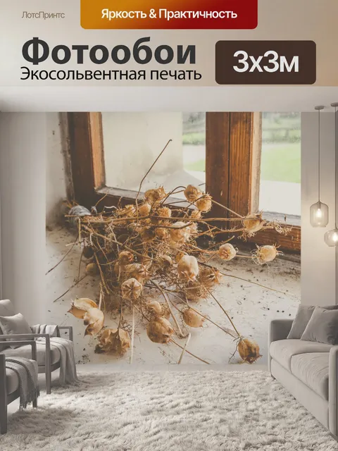 Фотообои Сухие растения мака