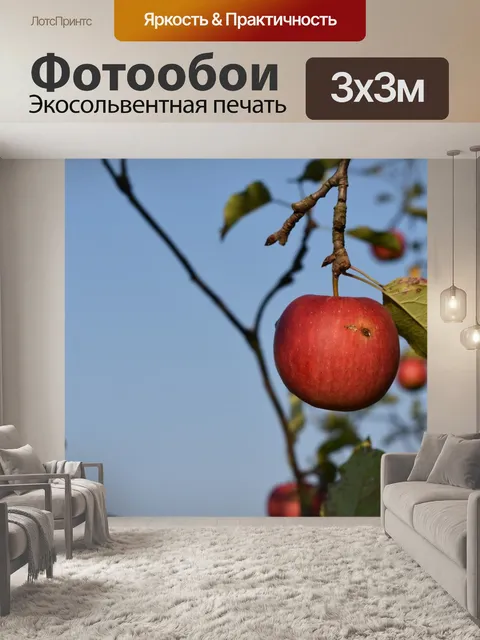 Фотообои Яблоко