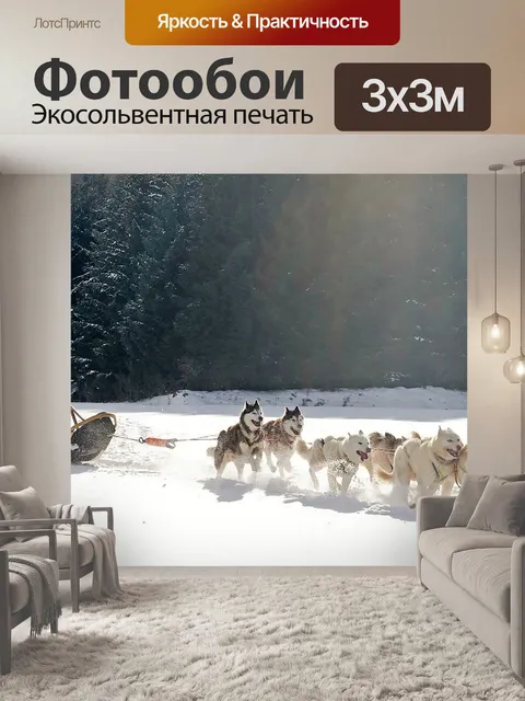 Фотообои Зимы